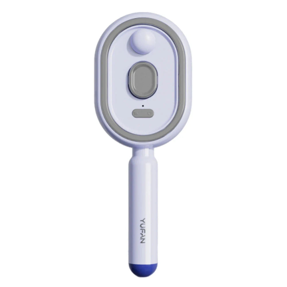 Portable Steam Hair Straightener